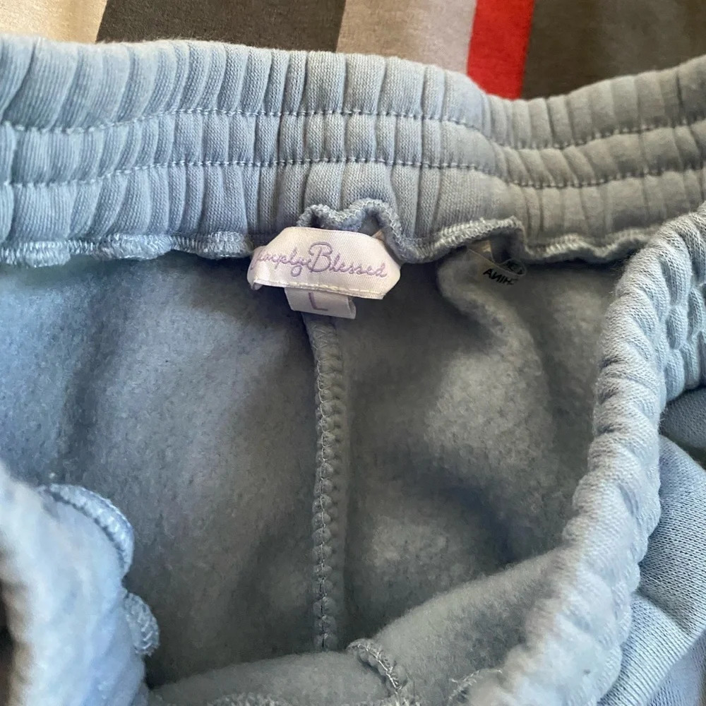 Blue Sweatshorts - Picture 2 of 3